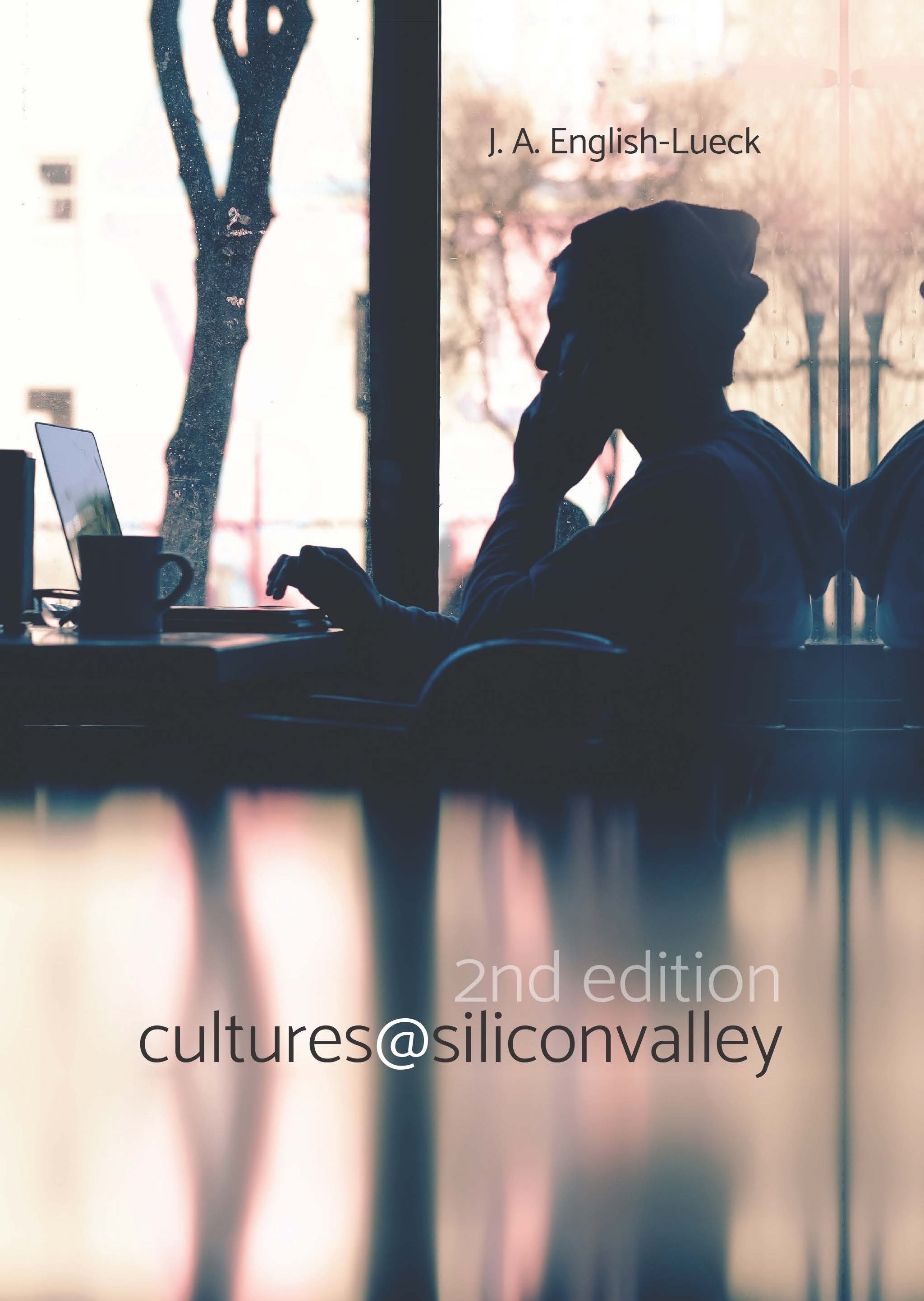 cultures@siliconvalley&nbsp;(2nd edition)