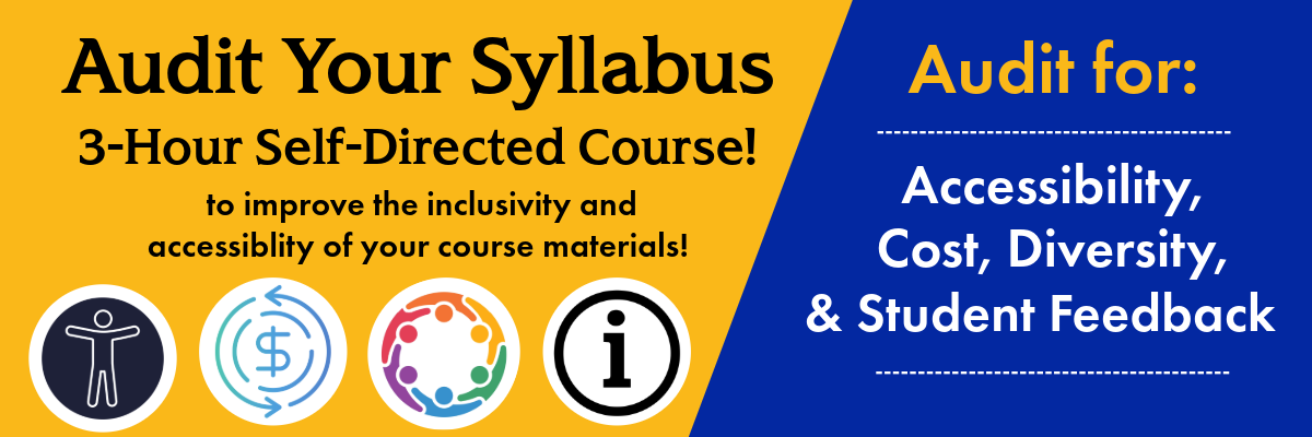Audit Your Syllabus Banner