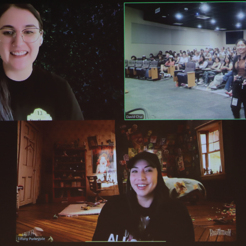 Women on Zoom
