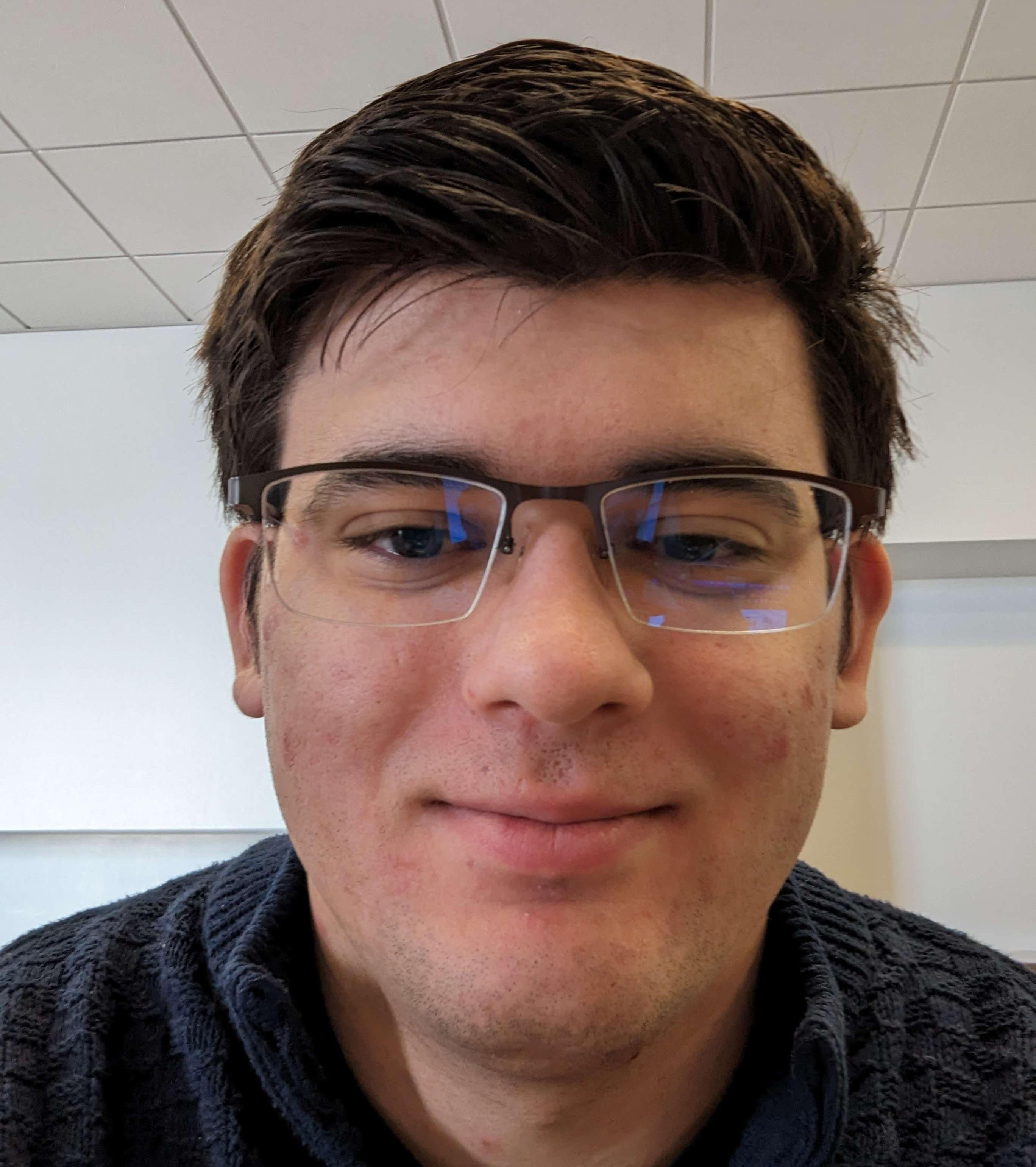 Headshot of Samuel Petruescu